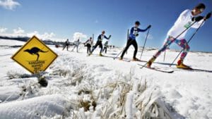 KANGAROO HOPPET & MERINO MUSTER 2026 1 Kangaroohoppet Ilo Urheilumatkat