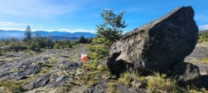 SAOC 2026 maastokuva bulletin Ilo Urheilumatkat