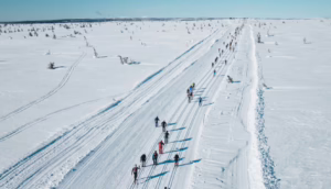 BIRKEBEINER 2027 1 Birken hiihtajia aakeella Ilo Urheilumatkat